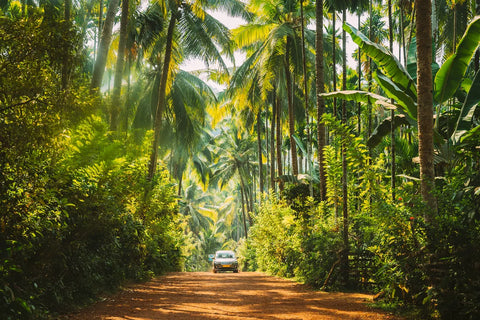 Road trip en Inde : itinéraire de 10 jours à travers l'incroyable sous-continent