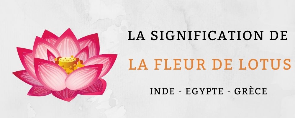La Signification de la Fleur de Lotus (Inde, Grèce, Egypte) & Royaume