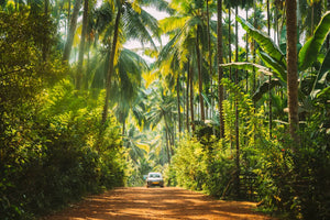 Road trip en Inde : itinéraire de 10 jours à travers l'incroyable sous-continent